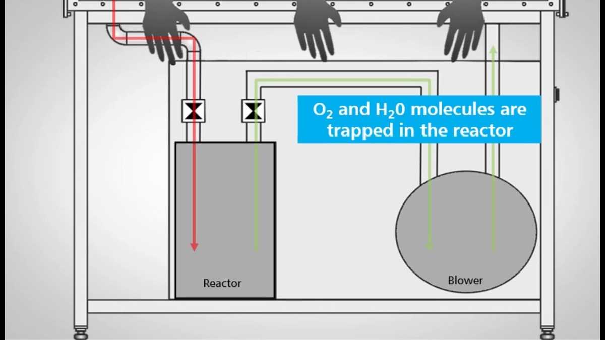 mbraun glovebox schematic diagram