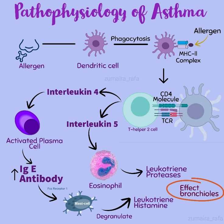 schematic diagram of pathophysiology of asthma schematic diagram of pathophysiology of asthma