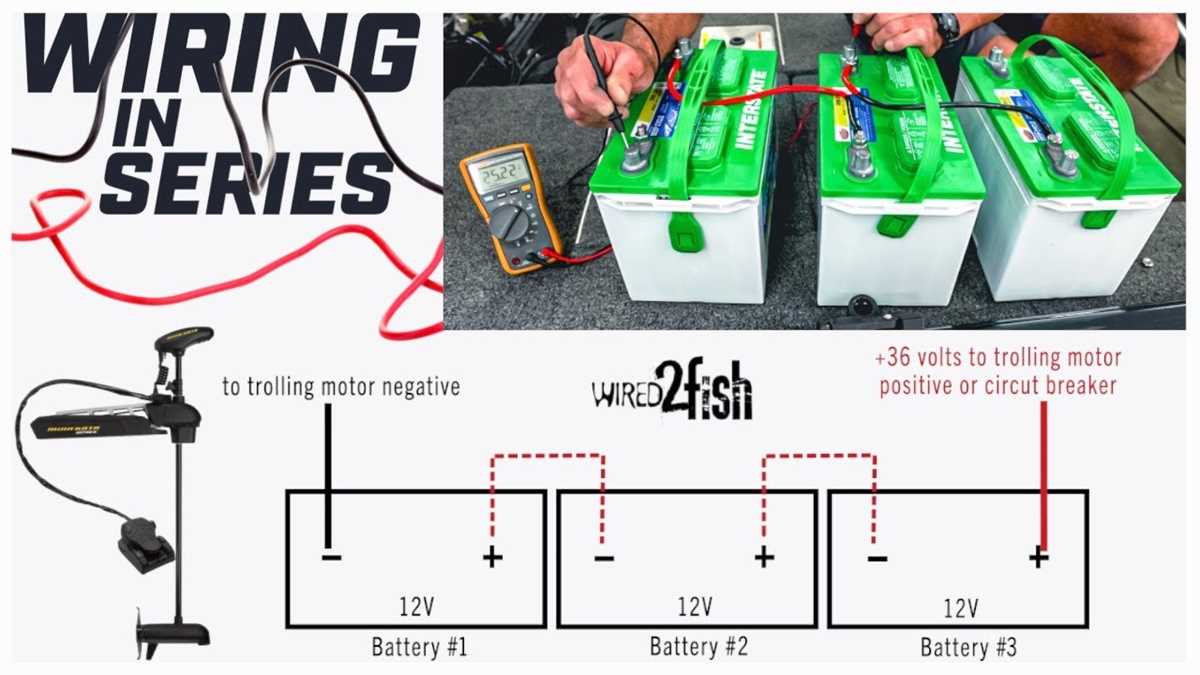 minn kota 24v wiring diagram