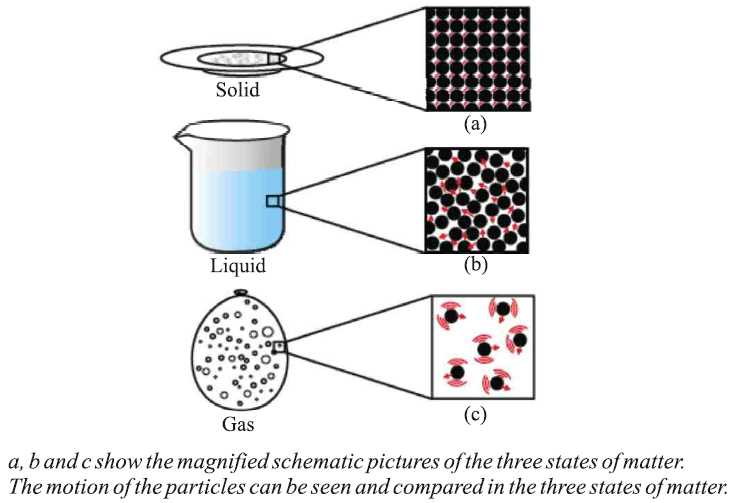 the schematic diagram of matter the schematic diagram of matter
