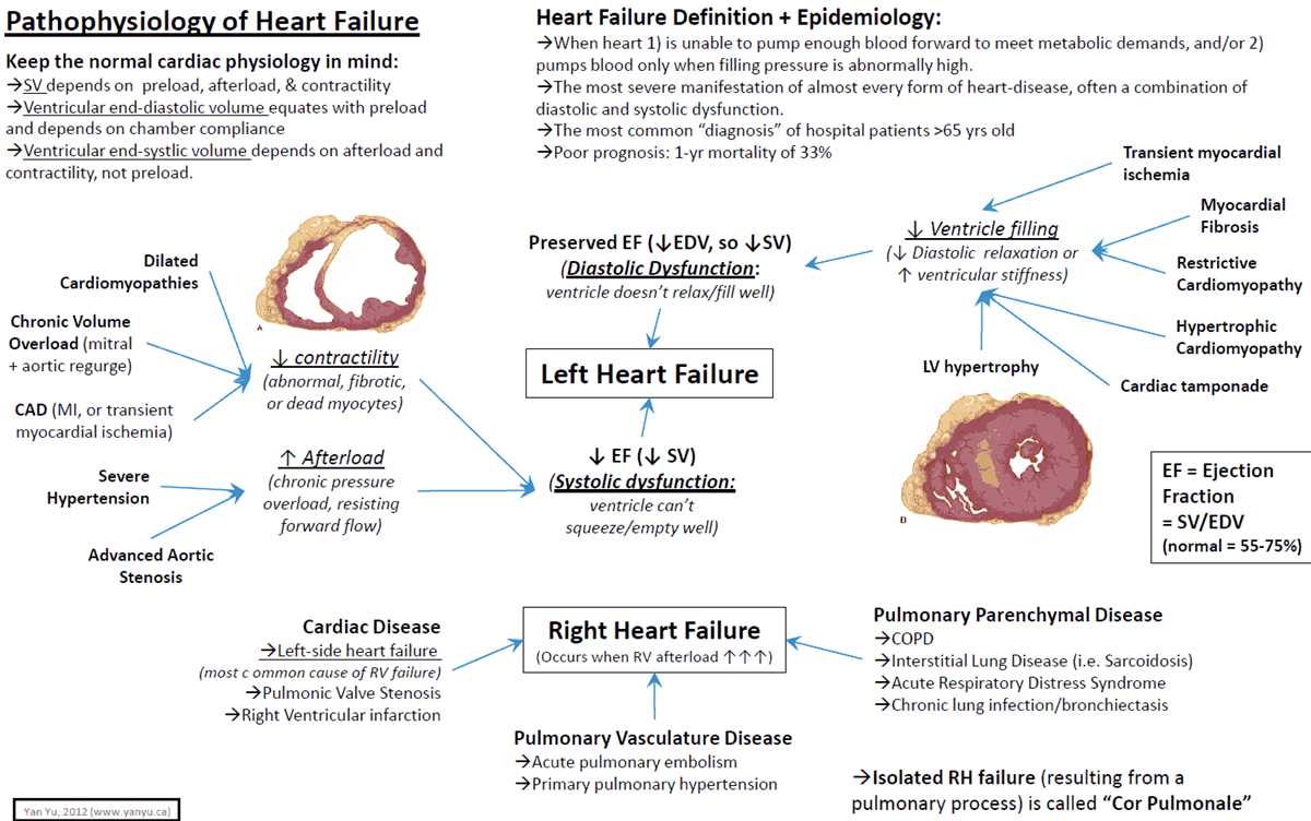 pathophysiology of congestive heart failure schematic diagram