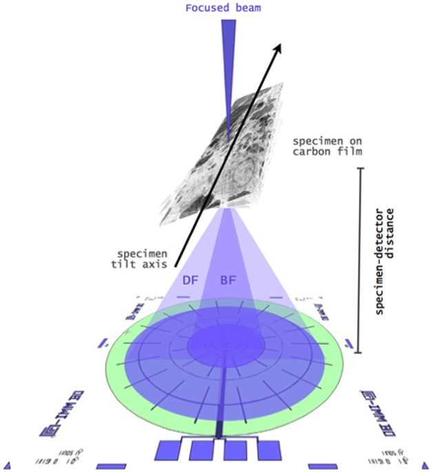 schematic diagram of scanning electron microscope sem