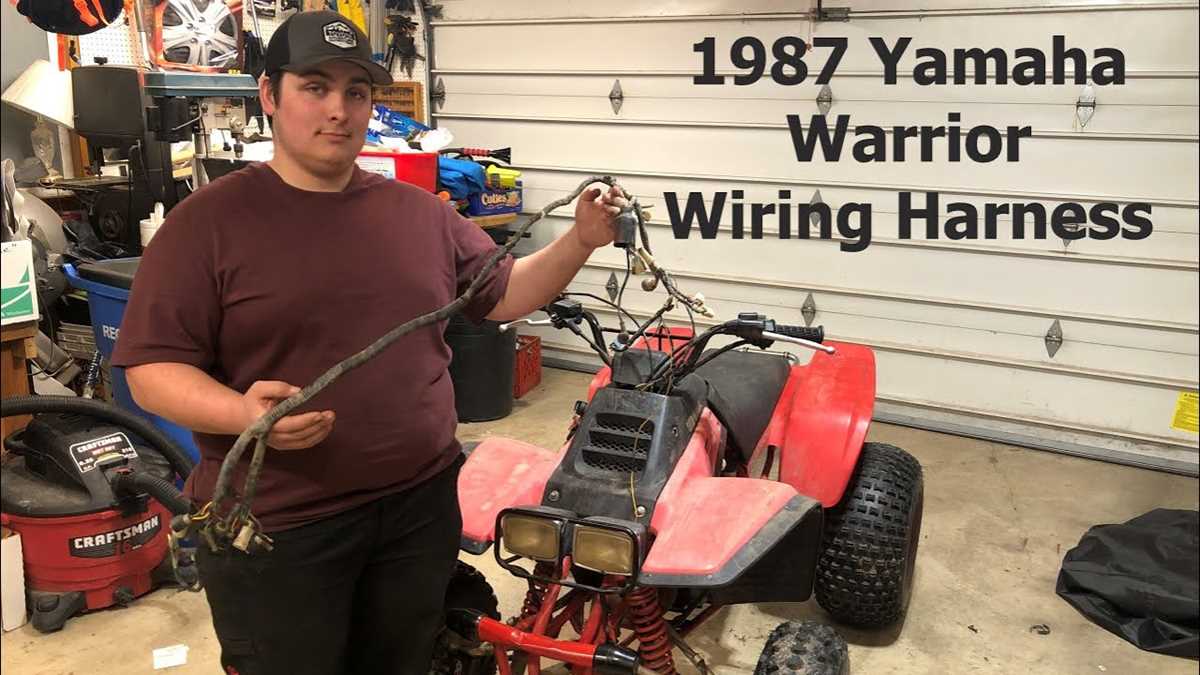wiring diagram for yamaha warrior 350