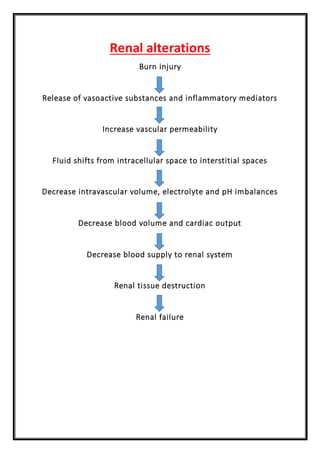 pathophysiology of burns in schematic diagram