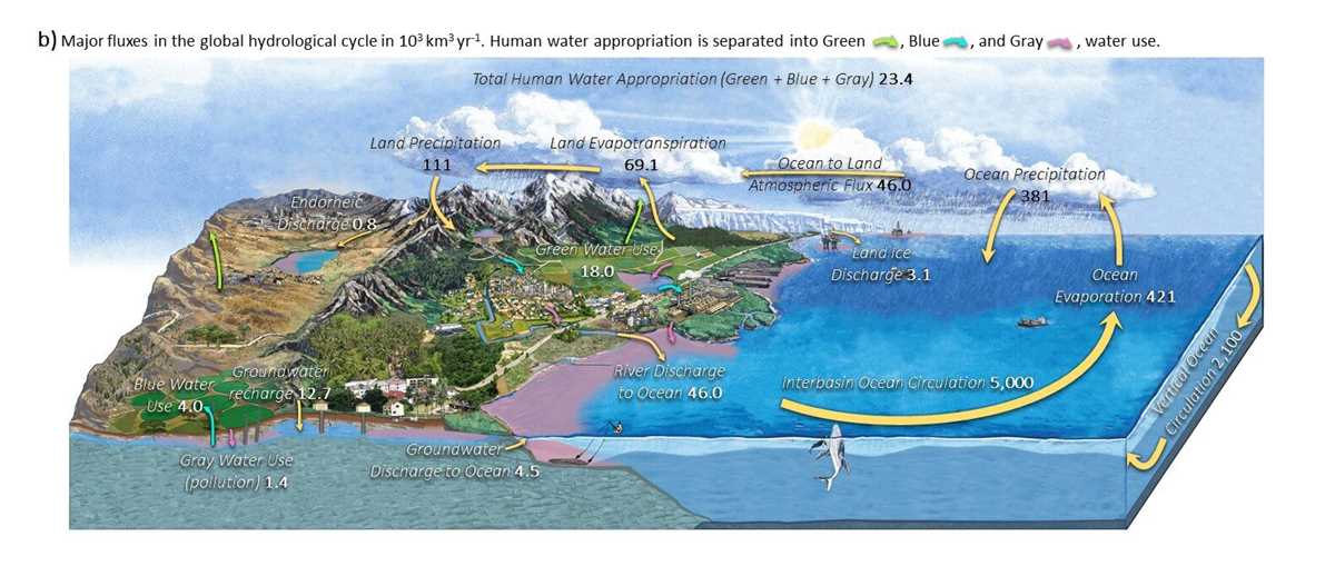 schematic diagram of water cy