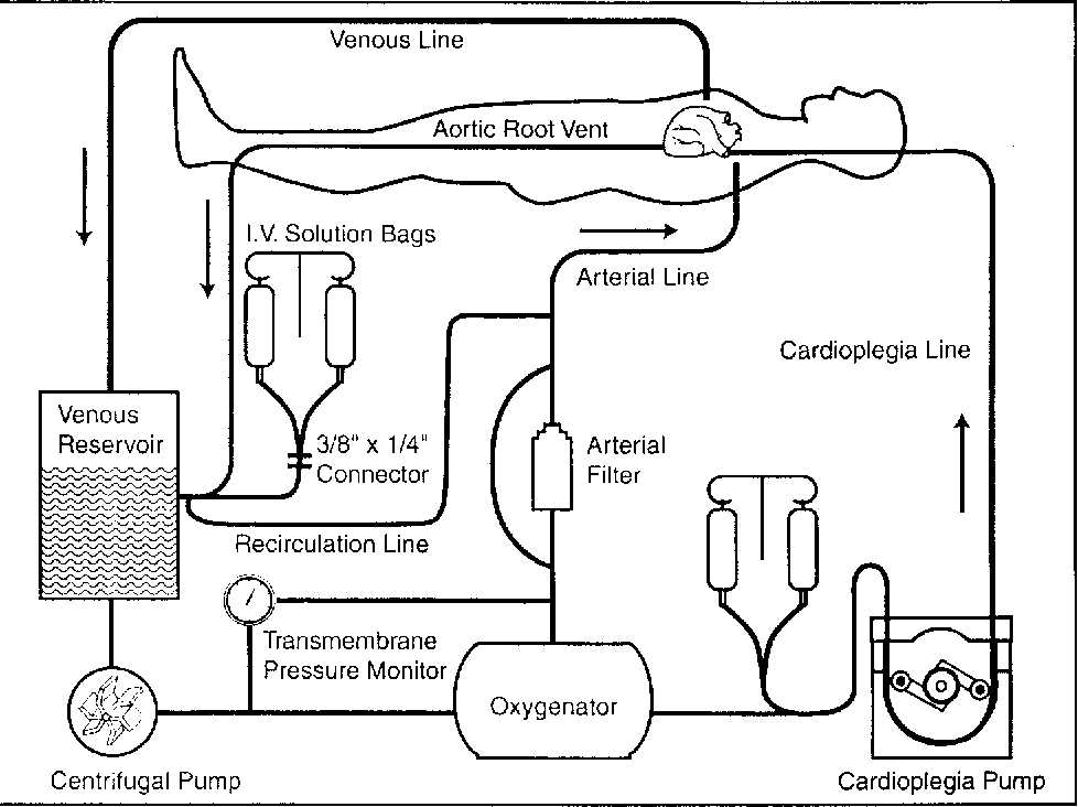 cpb circuit diagram cpb circuit diagram