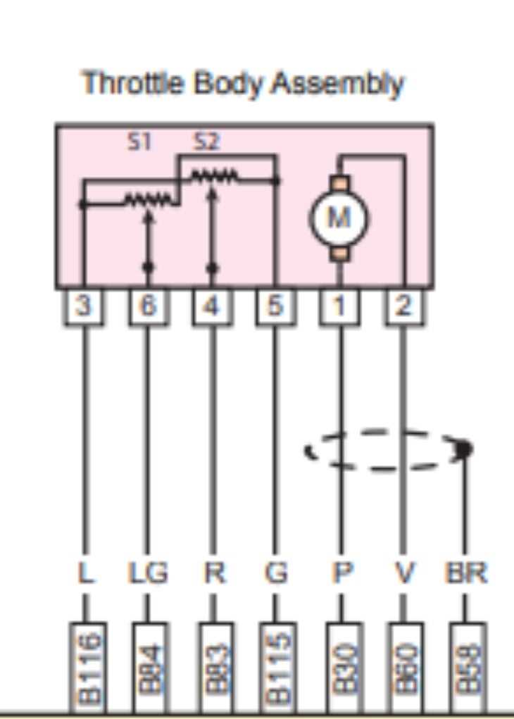 throttle body wiring diagram
