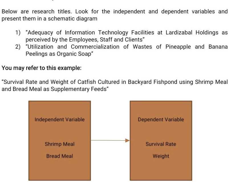 schematic diagram example in research