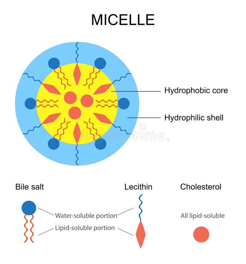 schematic diagram in chemistry