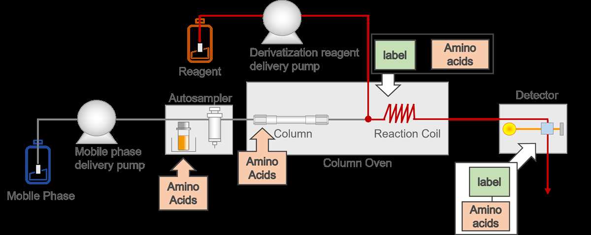 schematic diagram of amino acid schematic diagram of amino acid