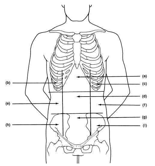 schematic diagram of human body surface