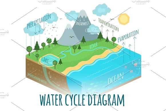 schematic diagram of water cy