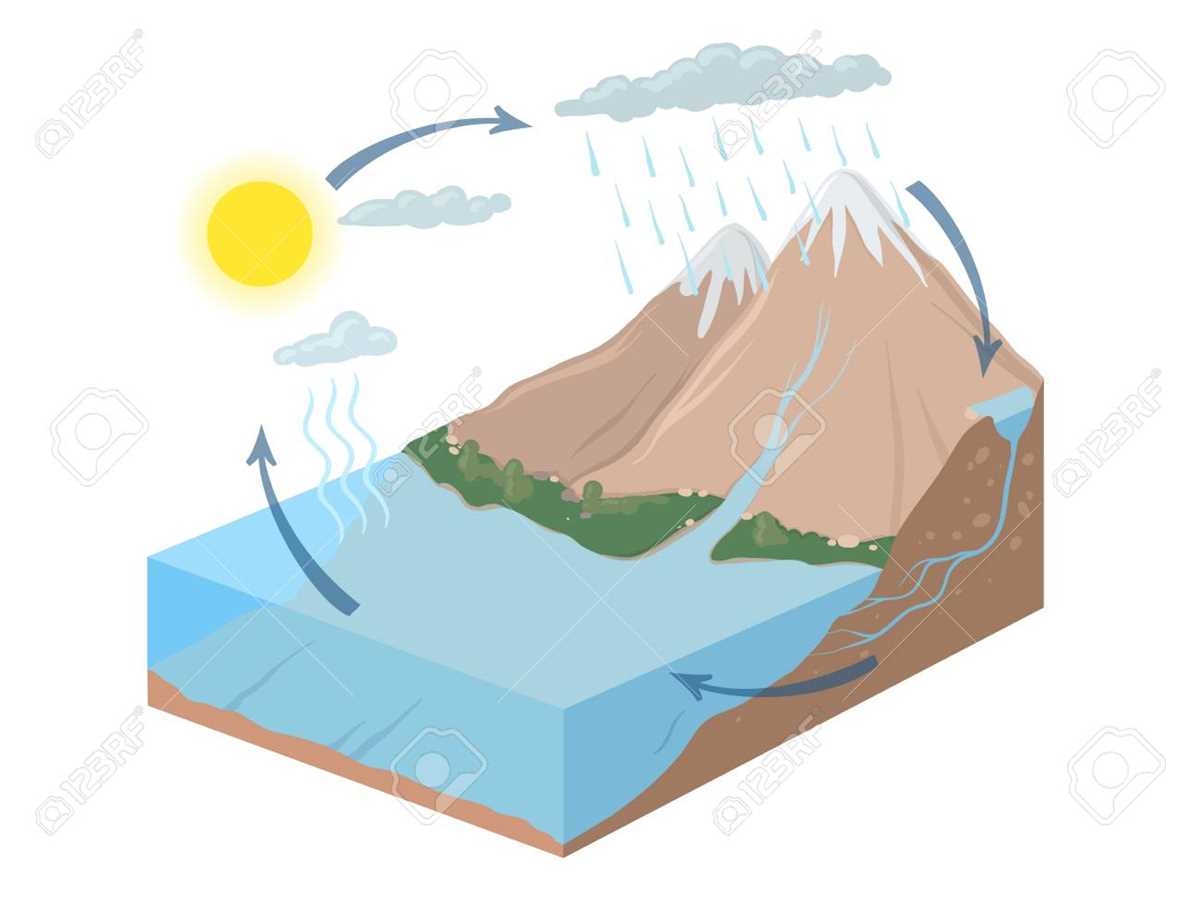 schematic diagram of water cy