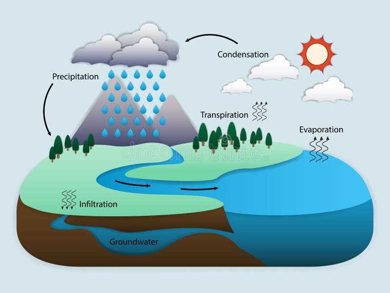 schematic diagram of water cycle