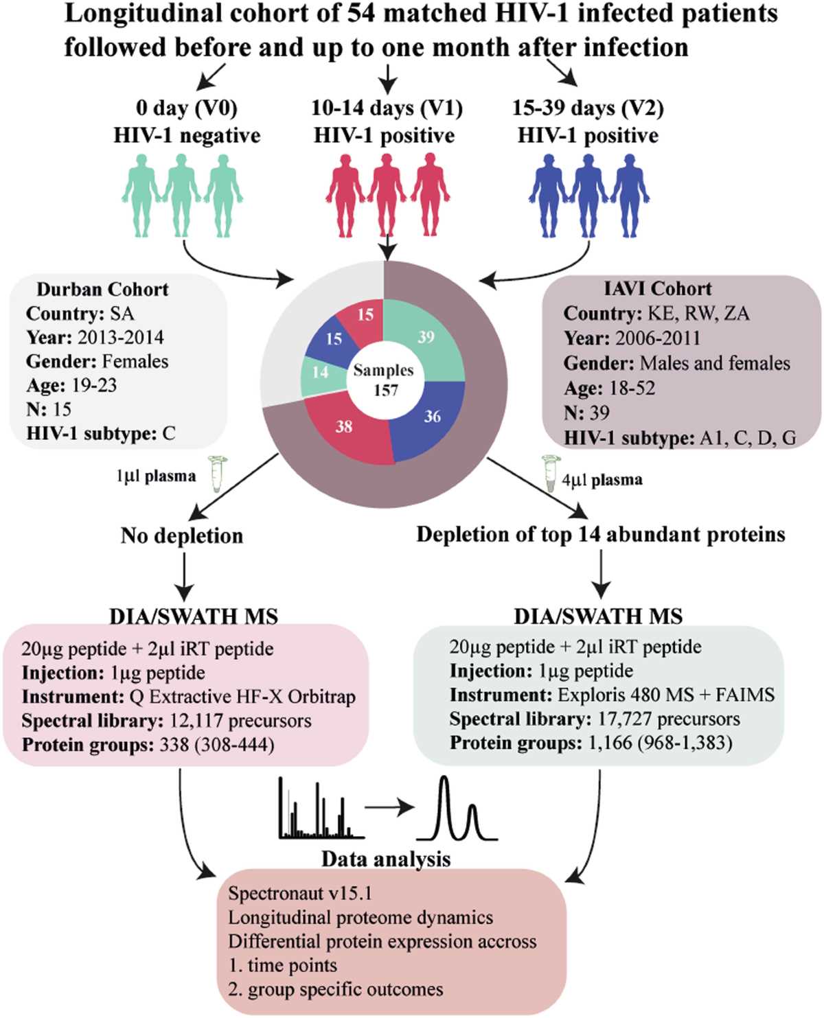 schematic diagram on hiv and metals schematic diagram on hiv and metals