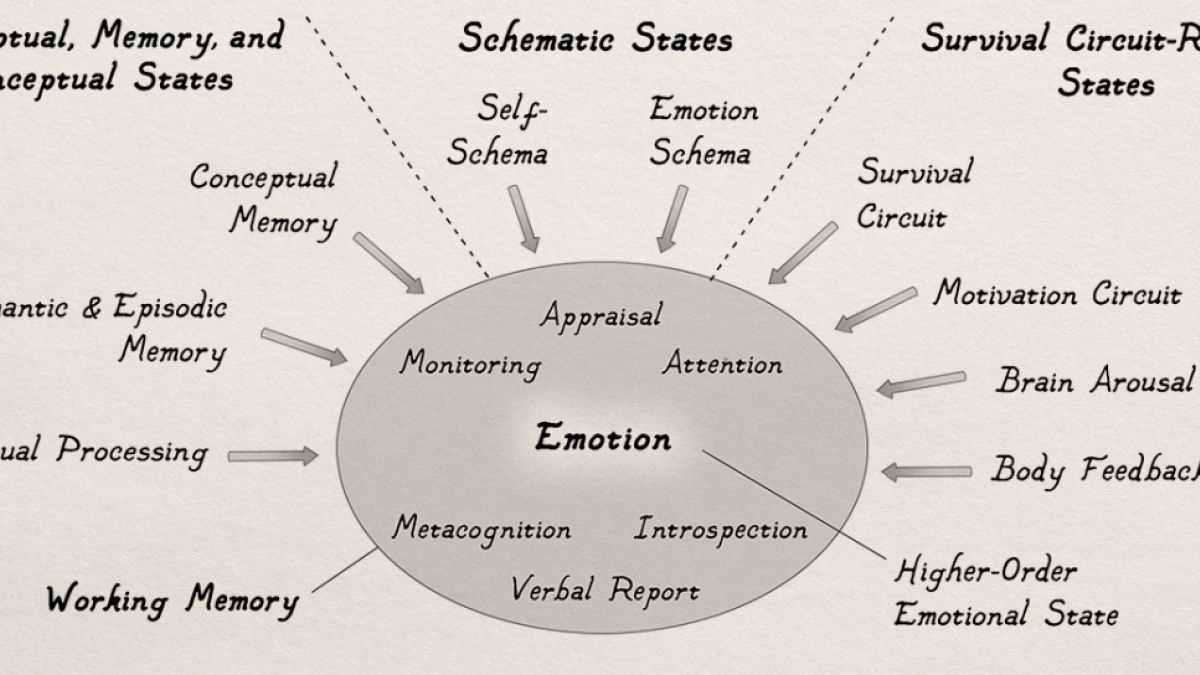 schematic diagram psychology schematic diagram psychology