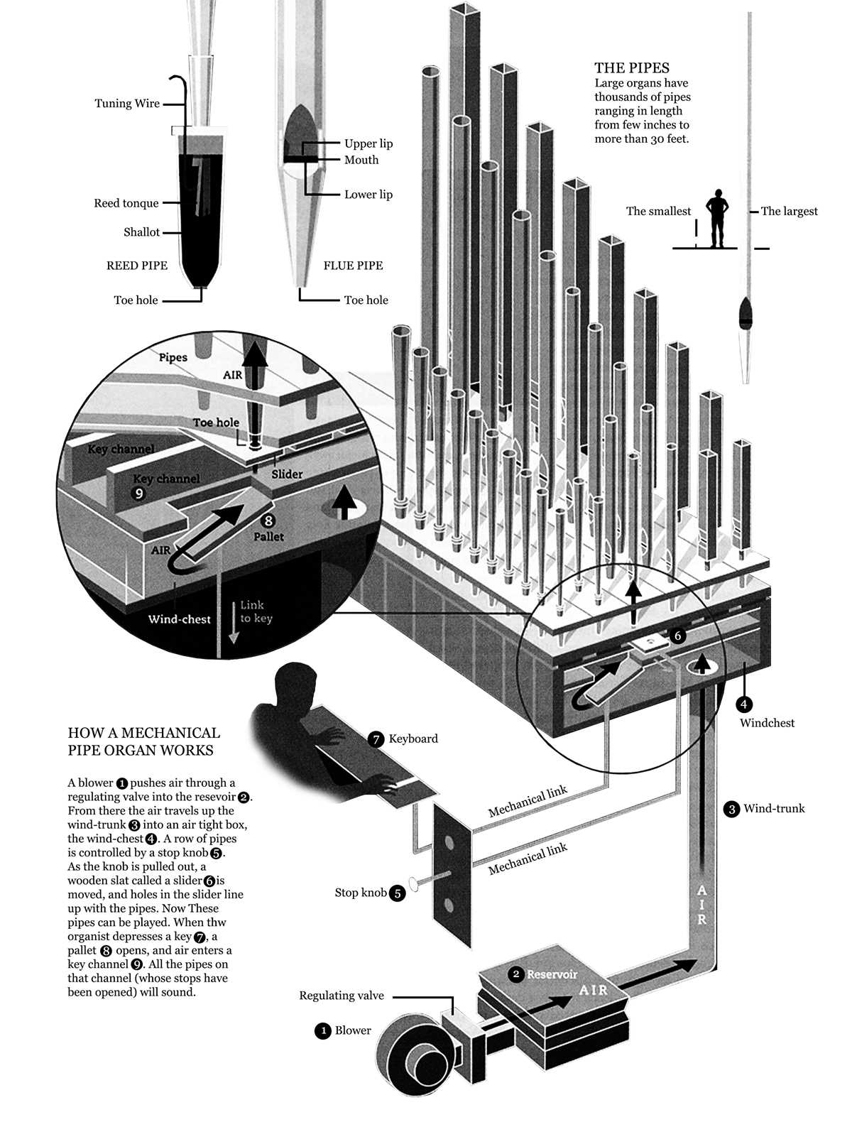 schematic pipe organ diagram