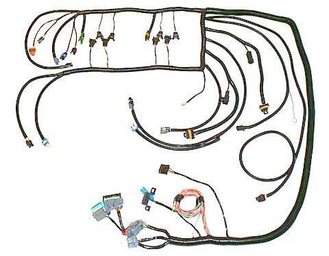 stand alone ls standalone wiring harness diagram