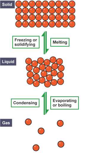 the schematic diagram of matter the schematic diagram of matter