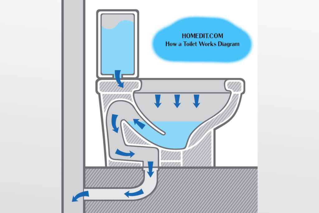 toilet seat diagram schematic