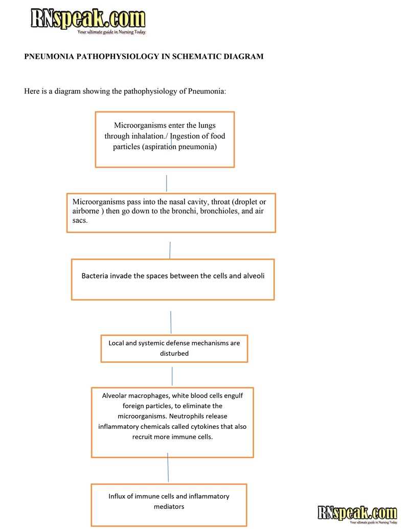pathophysiology of community acquired pneumonia schematic diagram