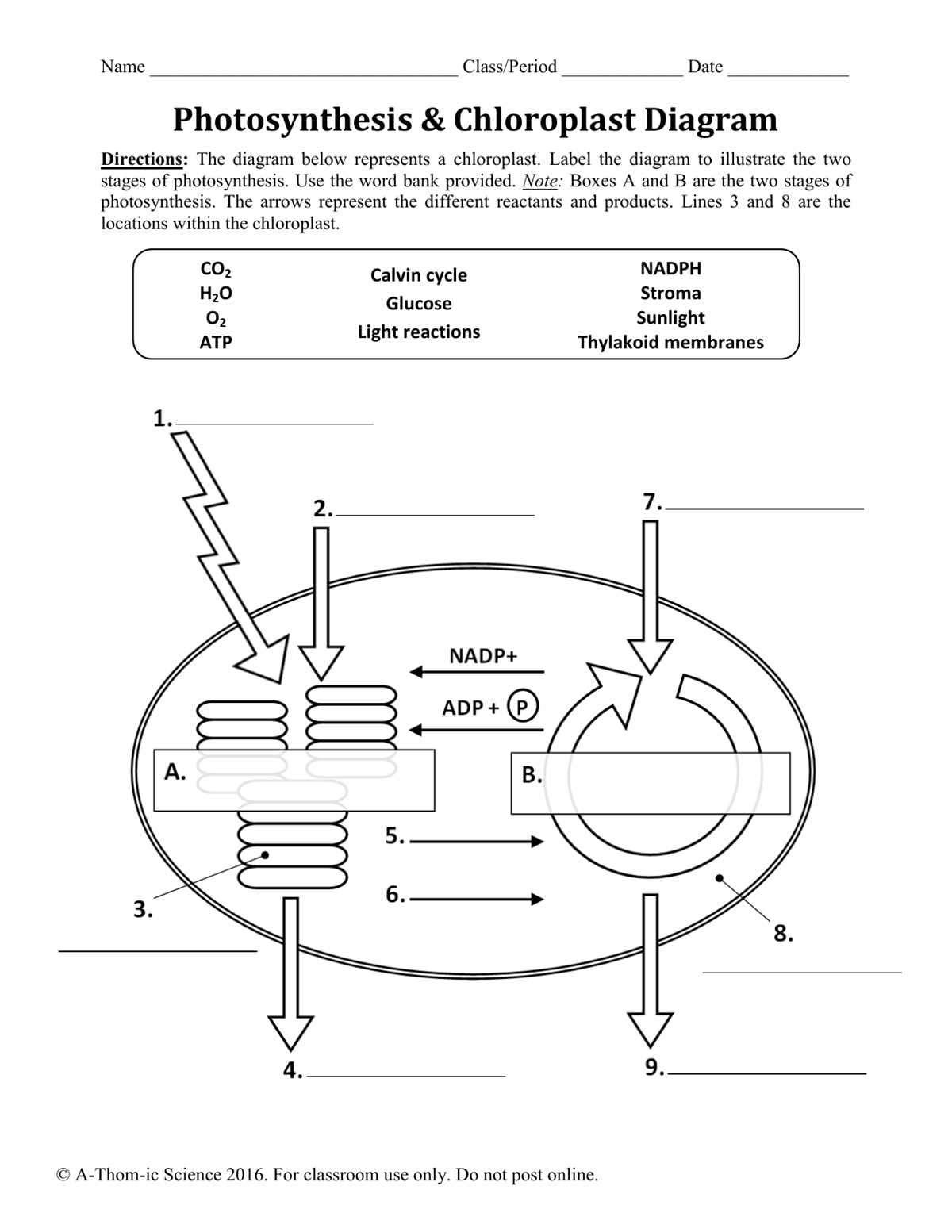 complete the schematic diagram of photosynthesis below
