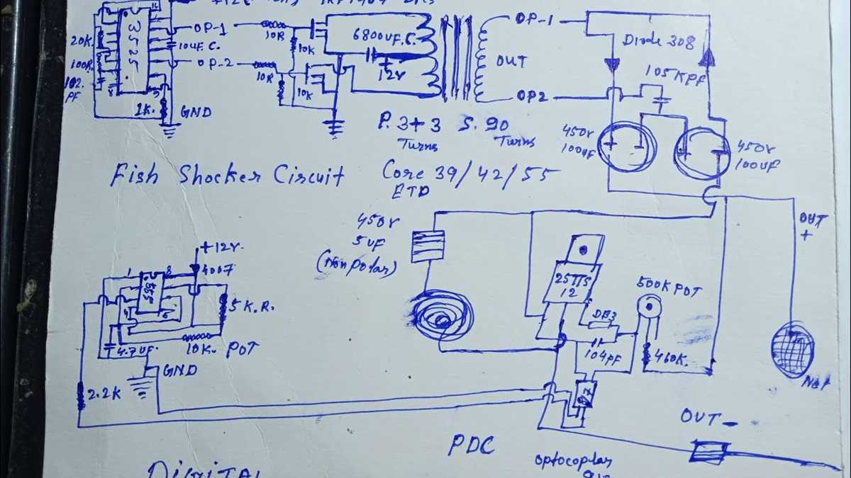 electrofishing circuit diagram