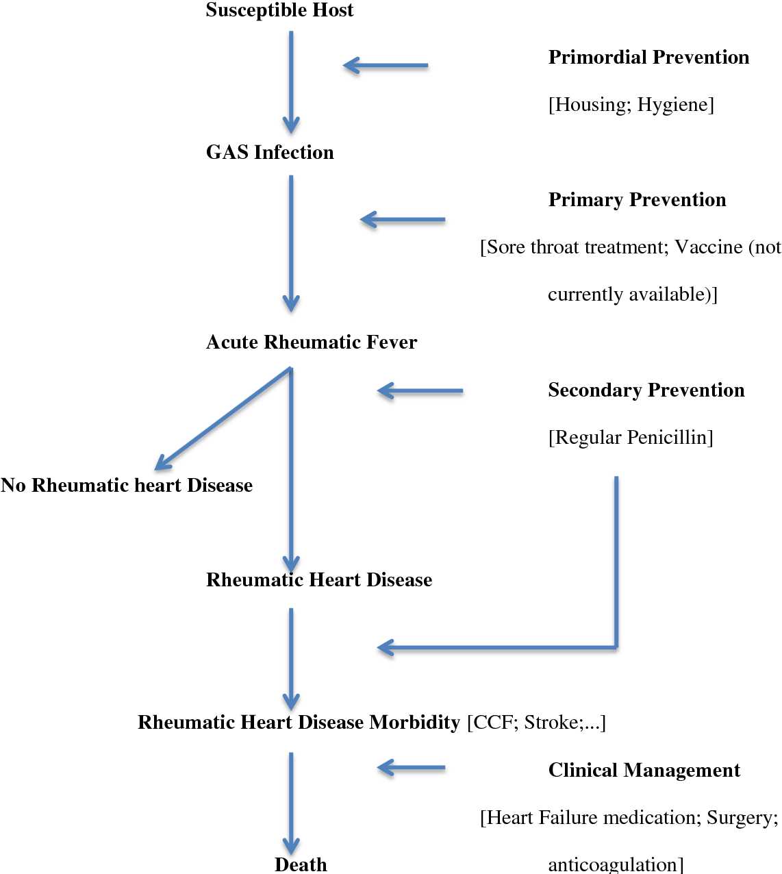 rheumatic heart disease pathophysiology schematic diagram rheumatic heart disease pathophysiology schematic diagram