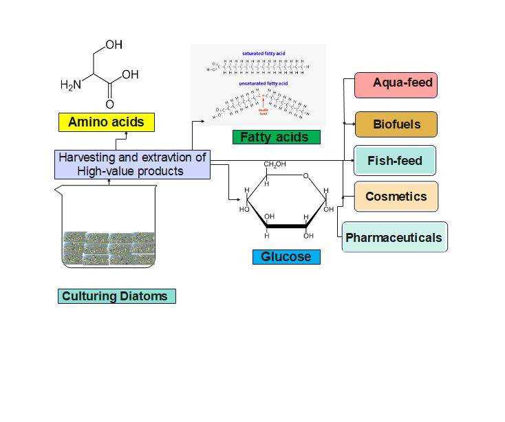 schematic diagram in a browser