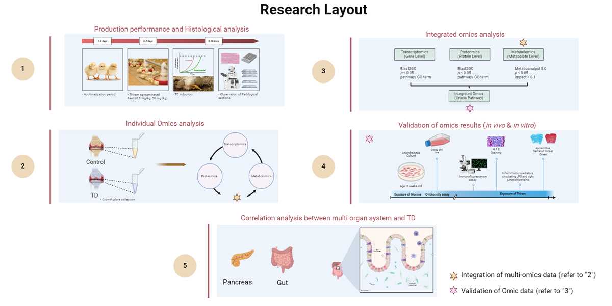 how to make a schematic diagram in research paper how to make a schematic diagram in research paper